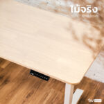 โต๊ะปรับระดับไฟฟ้า LIV Standing Desk รุ่น Normal - Image 6