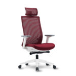 เก้าอี้สุขภาพ LIV Horizon Ergonomic Chair