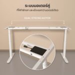 ขาโต๊ะปรับระดับไฟฟ้า LIV Standing Desk Pro Gen II - Image 10