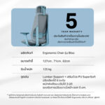 เก้าอี้สุขภาพ LIV Bliss Ergonomic Chair - Image 11